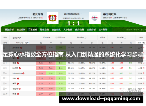 足球心水指数全方位指南 从入门到精通的系统化学习步骤