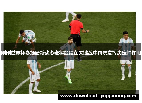 刚刚世界杯赛场最新动态老将经验在关键战中再次发挥决定性作用
