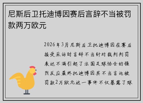 尼斯后卫托迪博因赛后言辞不当被罚款两万欧元 尼斯后卫托迪博因赛后言辞不当被罚款两万欧元